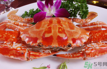 梭子蟹和花蟹的區(qū)別？梭子蟹和花蟹哪個好吃？