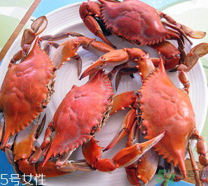 梭子蟹和飛蟹的區(qū)別？飛蟹是梭子蟹嗎？