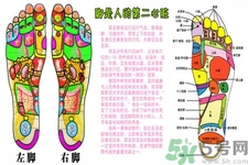 孕婦能用艾葉泡腳嗎？艾葉泡腳的功效與作用