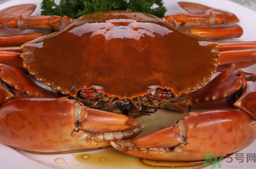 梭子蟹和青蟹哪個(gè)好吃？青蟹和梭子蟹的區(qū)別