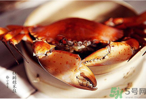 梭子蟹和青蟹哪個(gè)好吃？青蟹和梭子蟹的區(qū)別