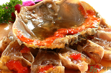 膏蟹是河蟹還是海蟹？膏蟹是什么蟹？