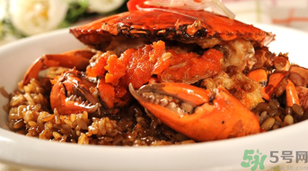 膏蟹是河蟹還是海蟹？膏蟹是什么蟹？