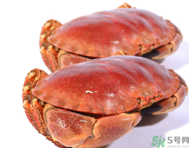 面包蟹多少錢一斤？面包蟹多少錢一只？