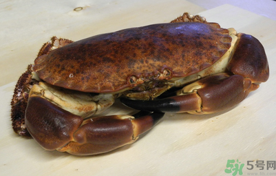 面包蟹多少錢一斤？面包蟹多少錢一只？