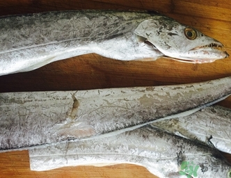 帶魚怎么去魚鱗?帶魚的魚鱗怎么刮圖解 帶魚怎么去魚鱗?帶魚的魚鱗怎么刮圖解