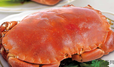 面包蟹死了還能吃嗎？面包蟹死了多久還能吃？