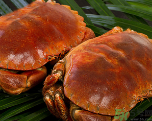 面包蟹死了還能吃嗎？面包蟹死了多久還能吃？