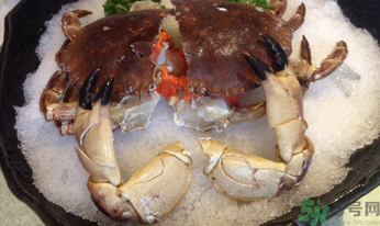 面包蟹怎么吃？面包蟹的吃法詳解