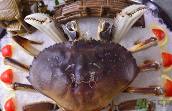 珍寶蟹多少錢一斤？珍寶蟹多少錢？