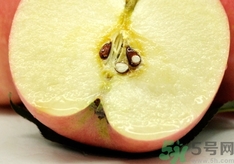 蘋果變軟了還能吃嗎?蘋果變軟了可以吃嗎? 蘋果變軟了還能吃嗎?蘋果變軟了可以吃嗎?