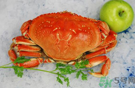 珍寶蟹和面包蟹的區(qū)別？珍寶蟹和面包蟹哪個好吃？