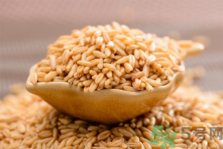 麥芽可退奶還是發(fā)奶？麥芽的功效與作用