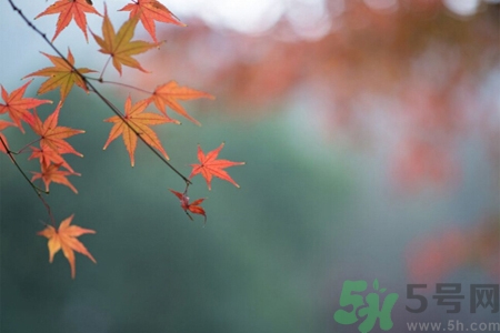 秋燥皮膚癢吃什么好？秋燥4妙招保護皮膚