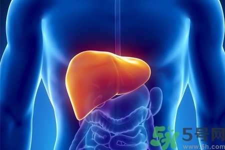 男性護(hù)肝的方法有哪些？養(yǎng)肝護(hù)肝必吃3大營養(yǎng)素