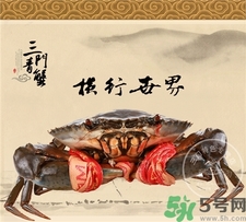 活青蟹怎么保存?活的三門(mén)青蟹怎么保存?