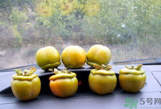 生柿子有毒嗎？生柿子吃了會怎樣？