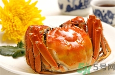 蟹膏和蟹黃哪個(gè)好吃?蟹膏和蟹黃的區(qū)別 蟹膏和蟹黃哪個(gè)好吃?蟹膏和蟹黃的區(qū)別