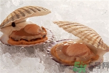 扇貝怎么看是活的?怎么辨別扇貝死活? 扇貝怎么看是活的?怎么辨別扇貝死活?