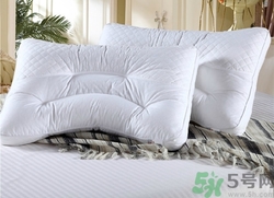 蕎麥枕頭會長蟲嗎?蕎麥枕頭長蟲怎么辦 蕎麥枕頭會長蟲嗎?蕎麥枕頭長蟲怎么辦