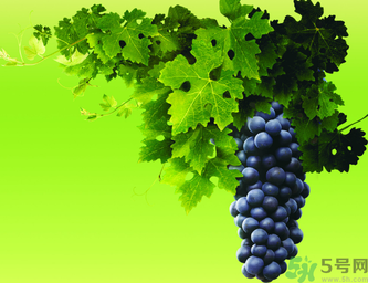 晚上吃葡萄好嗎？晚上吃葡萄好不好？