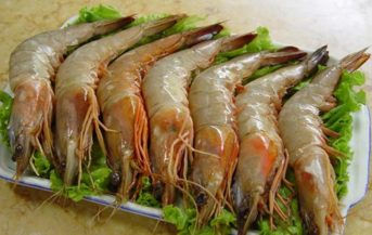 青蝦怎么做好吃？青蝦的做法大全