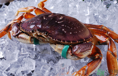 珍寶蟹多少錢一斤？珍寶蟹多少錢？