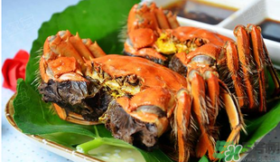 ?清蒸螃蟹蒸多久？?清蒸螃蟹需要多長(zhǎng)時(shí)間？