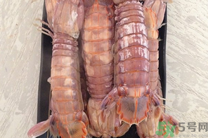 皮皮蝦蒸多長時(shí)間？皮皮蝦蒸多久？