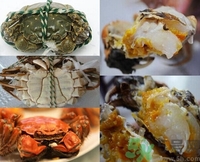 蟹膏苦是什么原因?蟹膏發(fā)苦能吃嗎? 蟹膏苦是什么原因?蟹膏發(fā)苦能吃嗎?