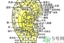 每天揉耳朵有什么好處？?揉耳朵的正確方法是什么？