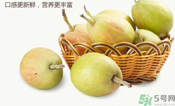 孕婦能吃香梨嗎？香梨孕婦可以吃嗎？