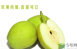 孕婦能吃香梨嗎？香梨孕婦可以吃嗎？