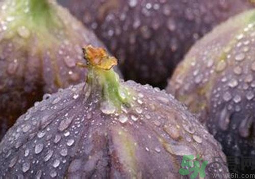 吃無花果要剝皮嗎？吃無花果皮有什么好處？