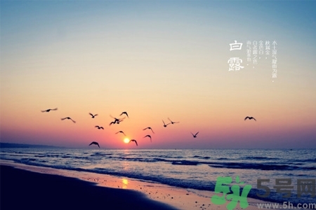 白露節(jié)吃什么？白露節(jié)的傳統(tǒng)美食有哪些？