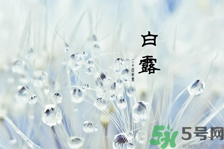 白露節(jié)吃什么？白露節(jié)的傳統(tǒng)美食有哪些？