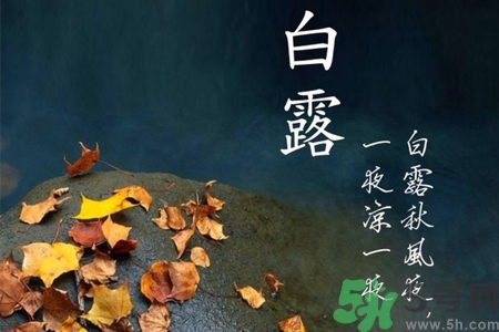 白露節(jié)吃什么？白露節(jié)的傳統(tǒng)美食有哪些？