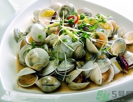 蛤蜊是花甲嗎？蛤蜊是花蛤嗎？