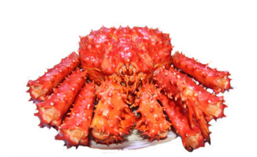 智利帝王蟹怎么吃？智利帝王蟹好吃嗎？