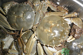 河蟹怎么保存？?活河蟹怎么保存？