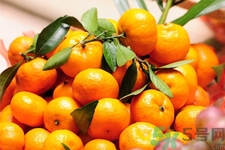 牛奶和橘子能一起吃嗎？橘子不能和什么一起吃？