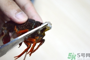 活蝦怎么處理干凈蝦線(xiàn)？活蝦怎么去蝦線(xiàn)？