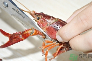 活蝦怎么處理干凈蝦線(xiàn)？活蝦怎么去蝦線(xiàn)？