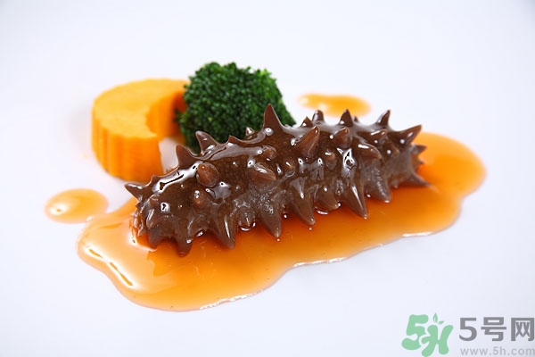 活海參和干海參哪個好？活海參好還是干海參好？