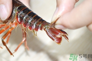 活蝦怎么處理干凈蝦線(xiàn)？活蝦怎么去蝦線(xiàn)？