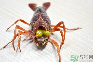 活蝦怎么處理干凈蝦線(xiàn)？活蝦怎么去蝦線(xiàn)？