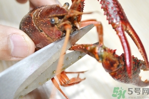 活蝦怎么處理干凈蝦線(xiàn)？活蝦怎么去蝦線(xiàn)？