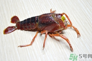 活蝦怎么處理干凈蝦線(xiàn)？活蝦怎么去蝦線(xiàn)？