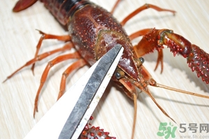 活蝦怎么處理干凈蝦線(xiàn)？活蝦怎么去蝦線(xiàn)？