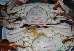 海蟹蒸多長時(shí)間？海蟹蒸多長時(shí)間最好吃？